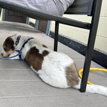 The Asylum restaurant view 4