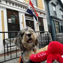 Tia Maria's European Cafe restaurant view 1