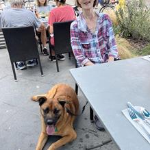 Good Stuff Restaurant restaurant view 1