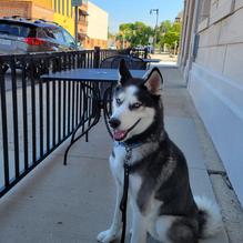 Saratoga Bar & Cafe restaurant view 1