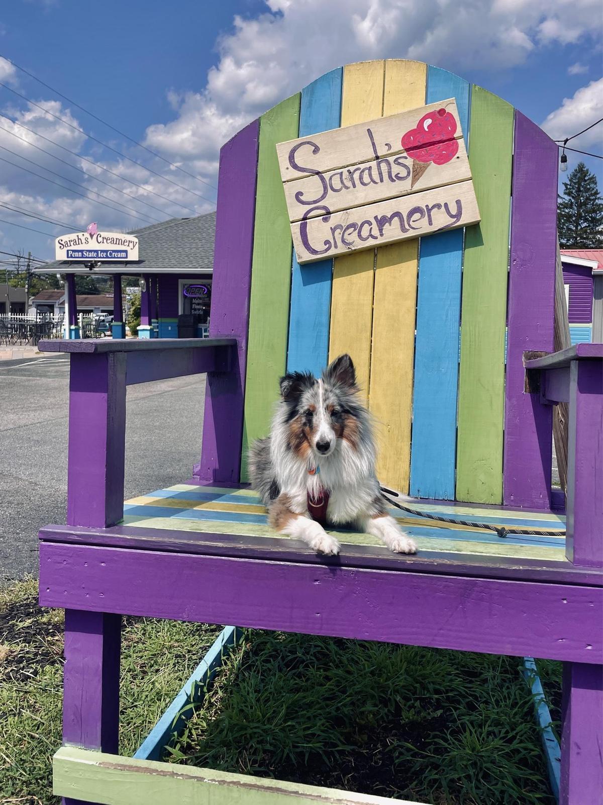 Sarah's Creamery restaurant view 2