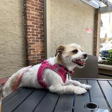 Ralston's Drafthouse restaurant view 1