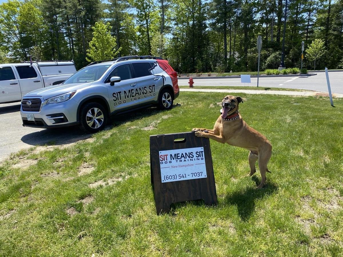 Gonzo posing for a photo and preparing for a group class outside the Sit Means Sit studio in New Hampshire.