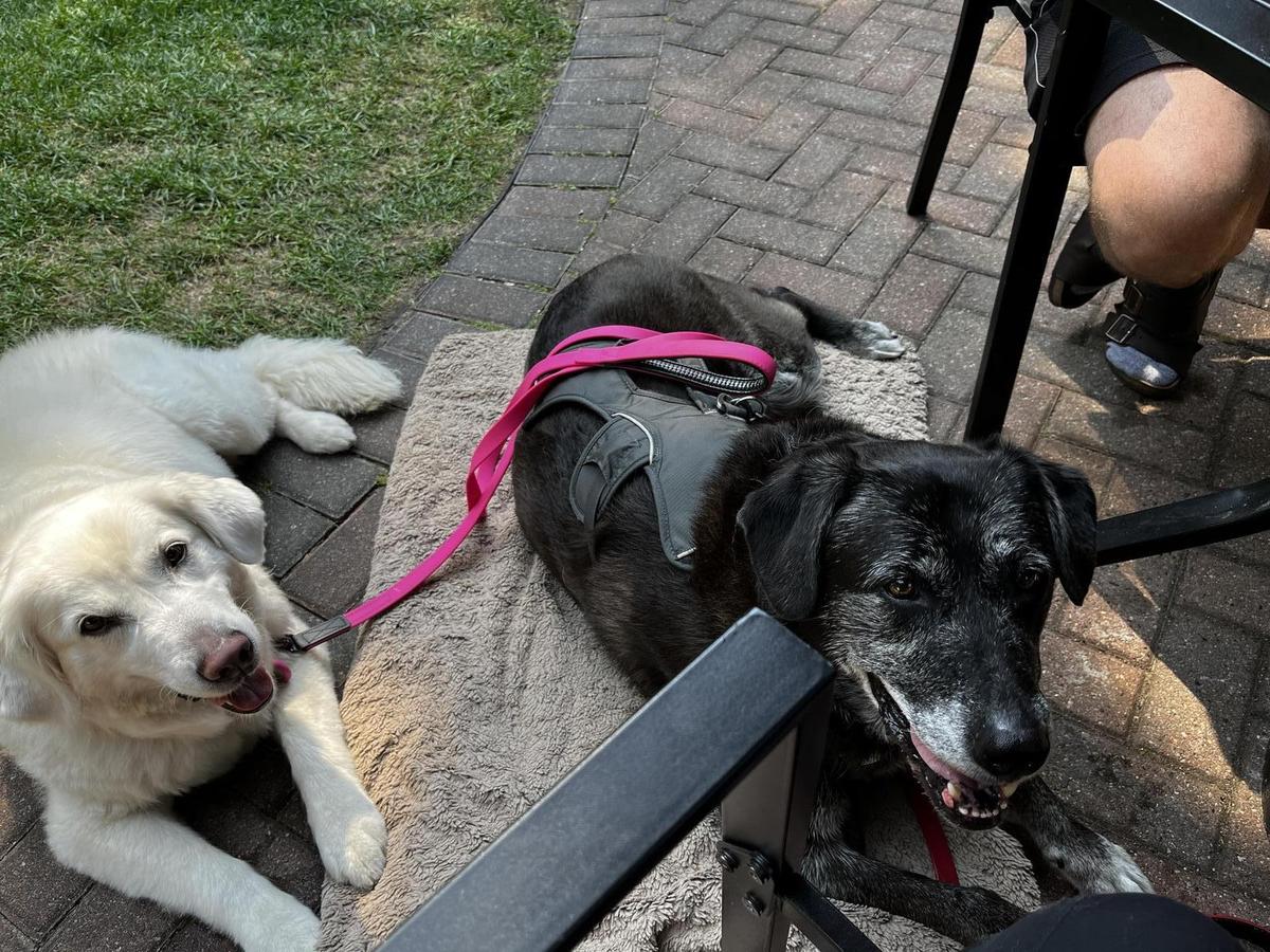 Ice House BBQ restaurant view 3