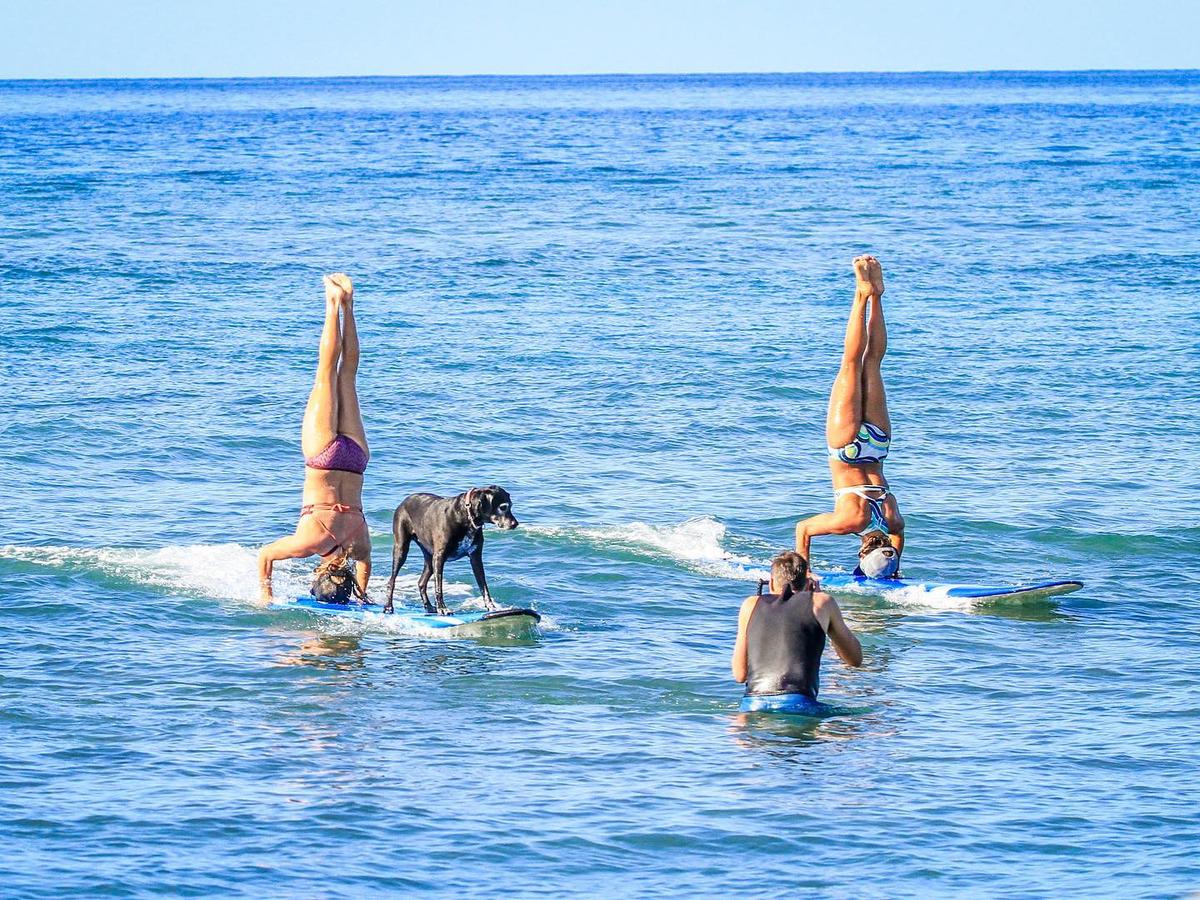 Salty Dog Yoga & Surf, Carolina Beach, NC