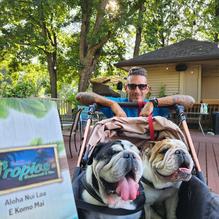 Tropics restaurant view 1