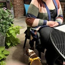 The Sage Rabbit restaurant view 2