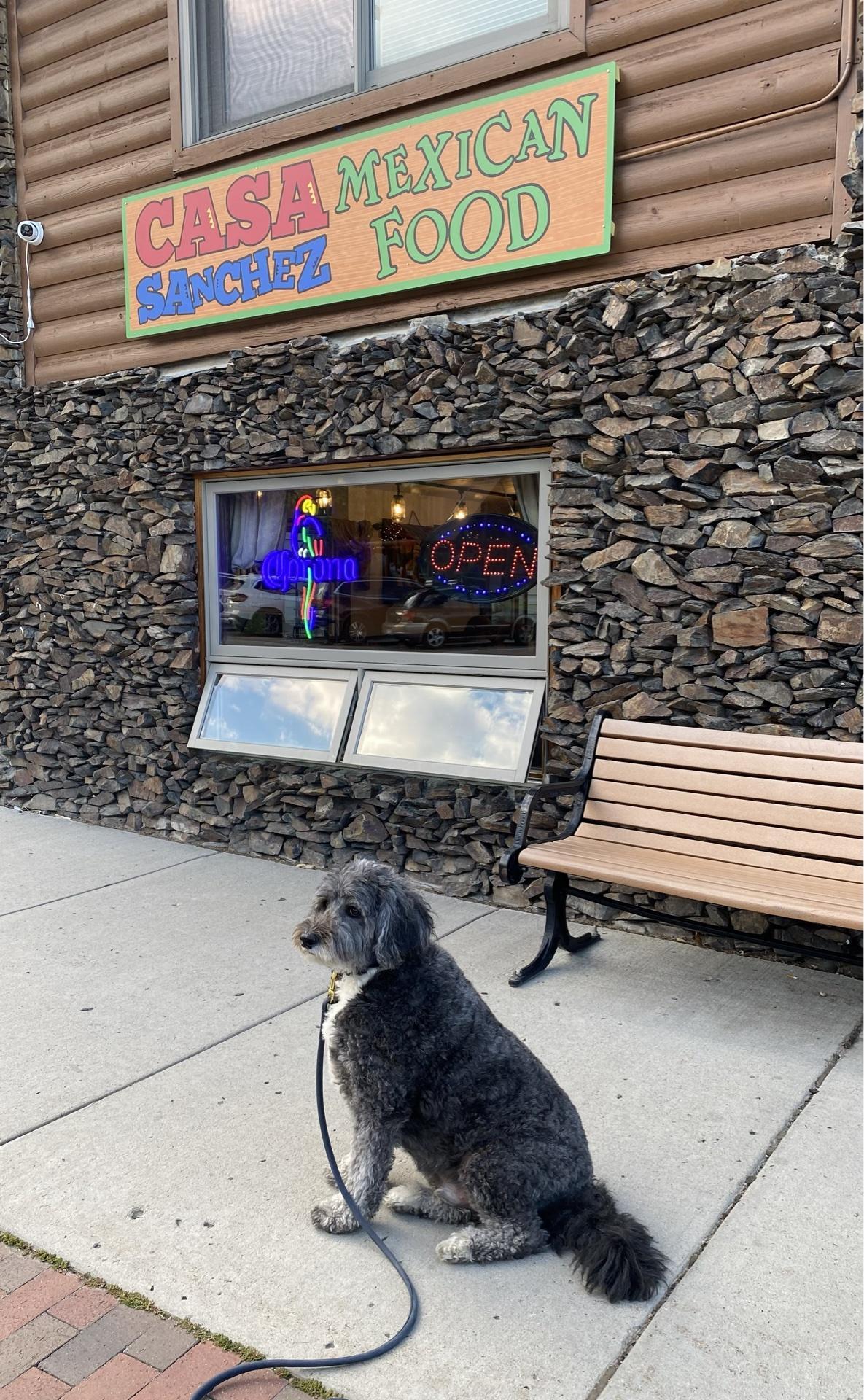 Casa Sanchez restaurant view 1