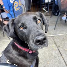 Taphouse Unchained restaurant view 1