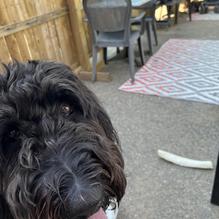 Isaac's Way Restaurant restaurant view 1