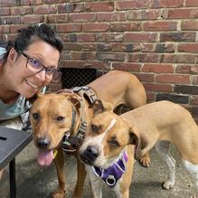 Burgers & Bakery restaurant view 1