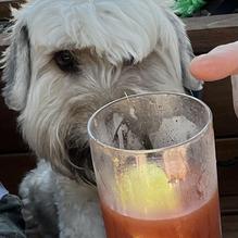 Magnolia House restaurant view 1