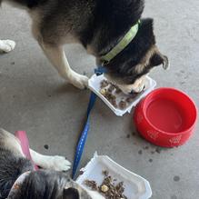 Triple TJ's Cafe restaurant view 1