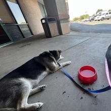 Triple TJ's Cafe restaurant view 2