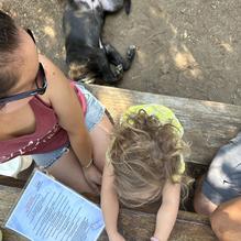 Black Goose Inn restaurant view 2