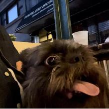 Harlem Shake restaurant view 1