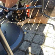 Bridge Street Tap Room restaurant view 1