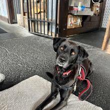 Barrel Mountain Brewery restaurant view 2