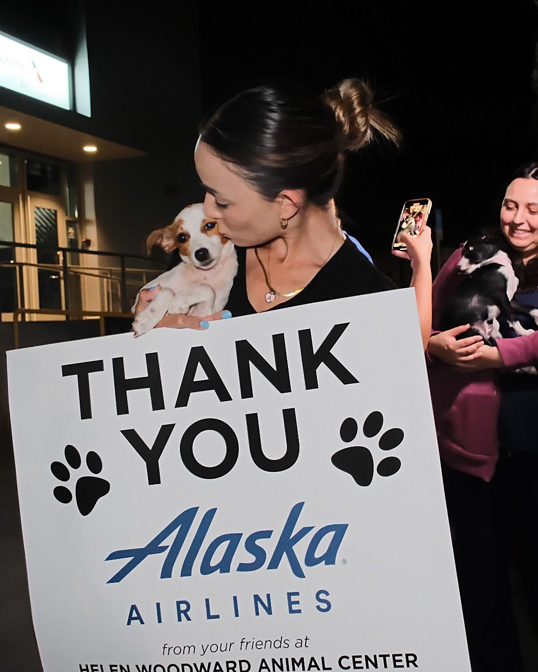 Alaska airlines animal clearance