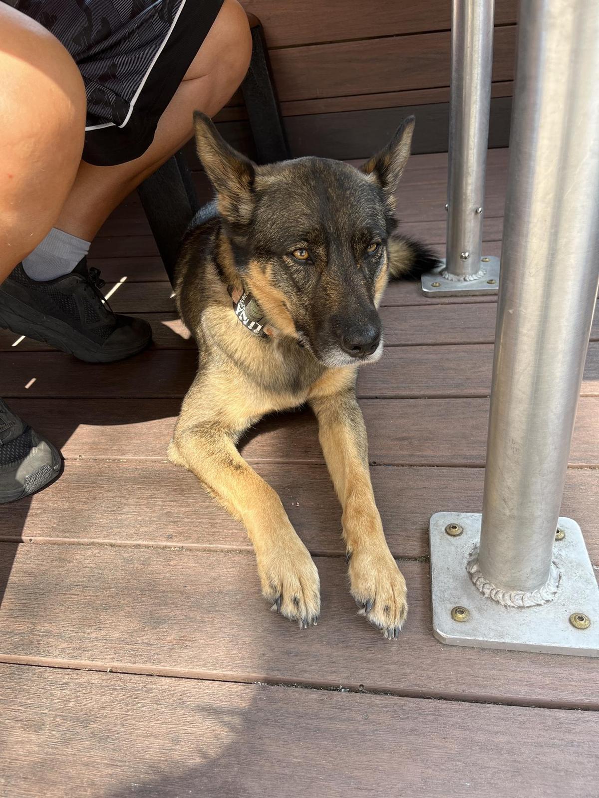 Dixie Saloon restaurant view 3