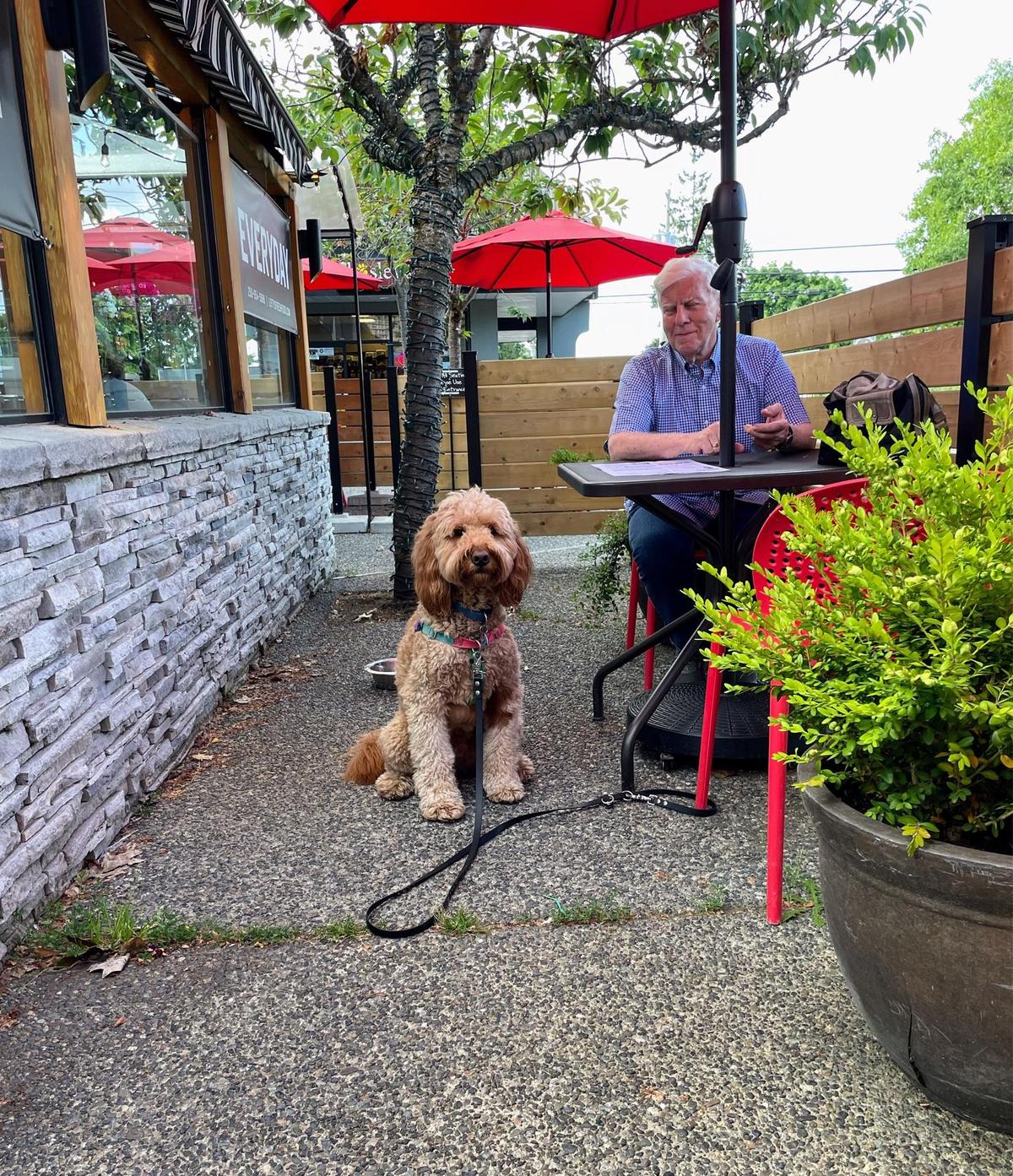 Lefty's Fresh Food restaurant view 1