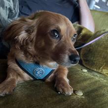 The Wallflower Collective restaurant view 1