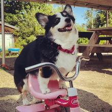 Funky Bow Brewery & Beer Company restaurant view 1