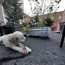 Side a Brewing restaurant view 2