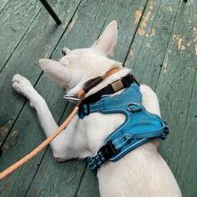 La Casita restaurant view 2