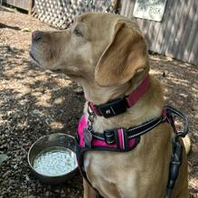 Rusty Rail Tavern restaurant view 1