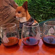 Arrowhead Spring Vineyards restaurant view 1