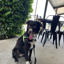 3 West Alehouse & Grill restaurant view 1