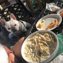 The Log Den restaurant view 2