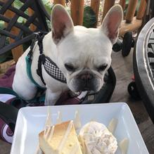 The Log Den restaurant view 1