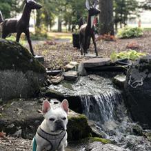 The Log Den restaurant view 3