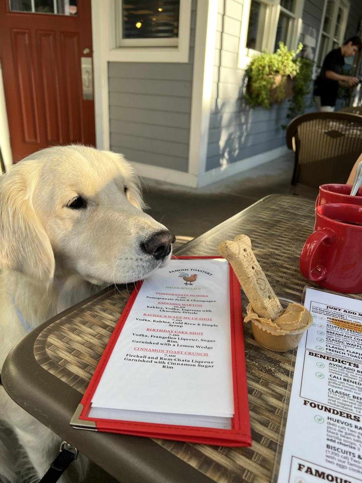 Dog friendly breakfast cafe top near me