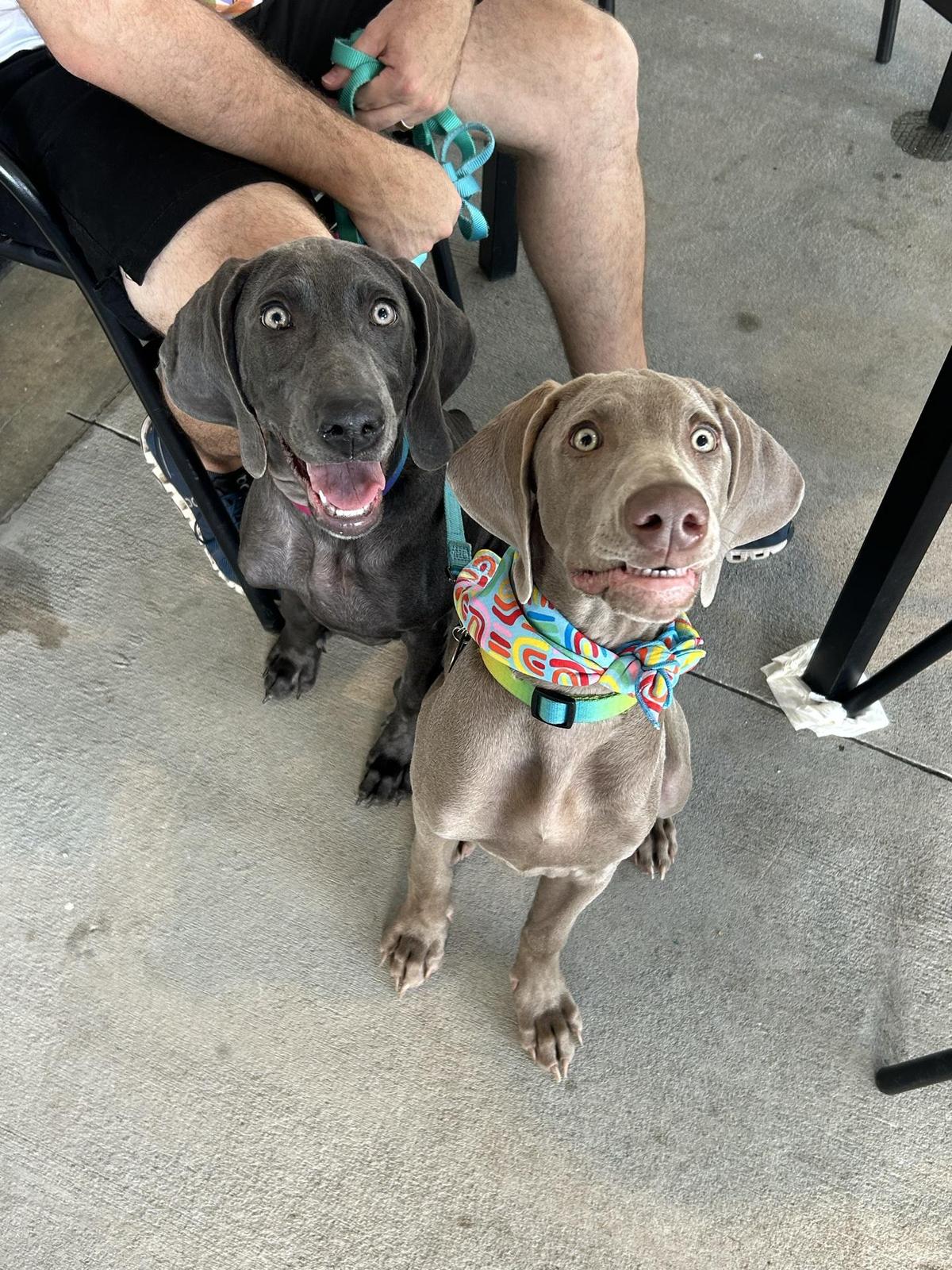 Home State Brewing Co restaurant view 2