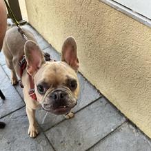 Smashburger restaurant view 2