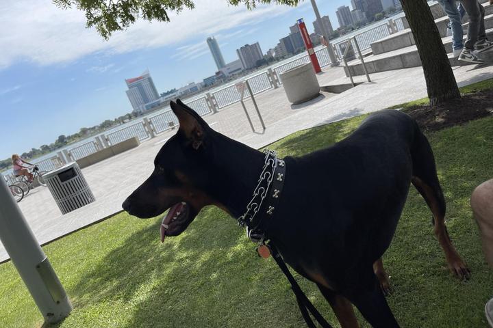 Troy Michigan Zip Code