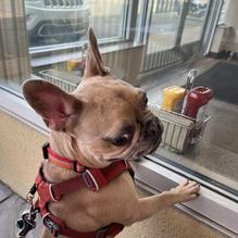 Smashburger restaurant view 1