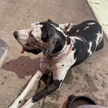 Mecca Bar & Grill restaurant view 1