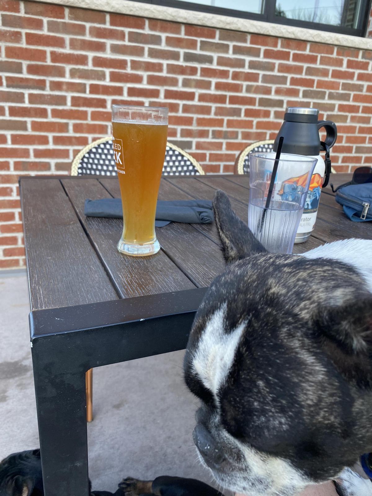 Tumbled Rock Brewery & Kitchen restaurant view 2