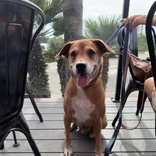 Cicciotti's Trattoria Italiana restaurant view 1