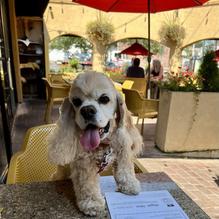 India restaurant view 1