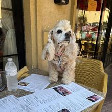 India restaurant view 2