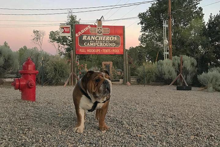Pet Friendly Rancheros de Santa Fe Campground