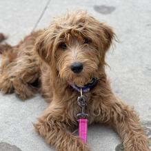 St. Burch Tavern restaurant view 1