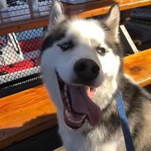 Flatbread Company restaurant view 1