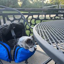 Sticks N Stones Steak & Tap restaurant view 1