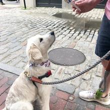 Beals Famous Old Fashioned Ice Cream restaurant view 1
